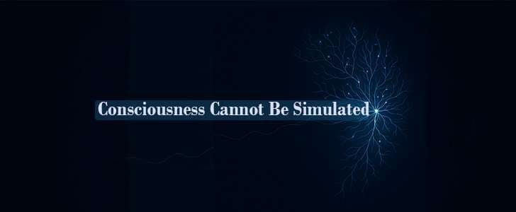 Consciousness Cannot Be Simulated
